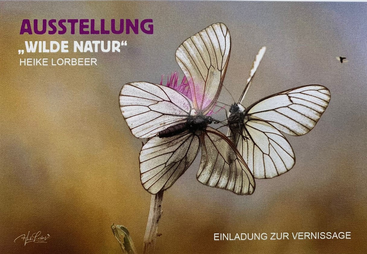 Einladung zur Vernissage „Wilde Natur“
