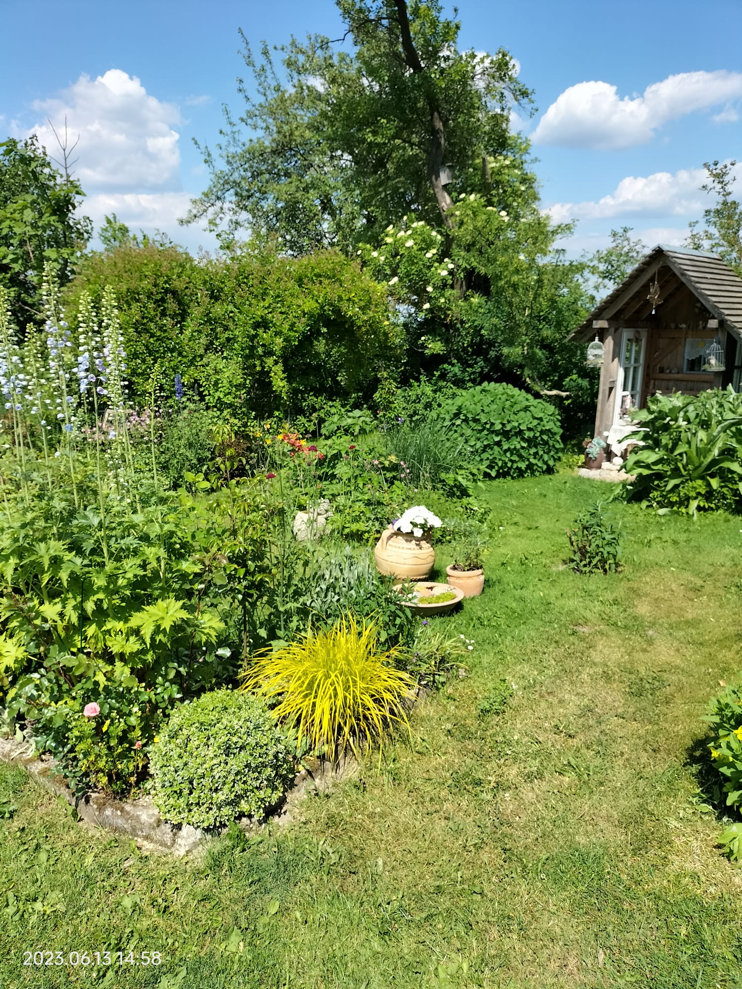 Tag der offenen Gärten am Sonntag,                                           den 02.Juli 2023