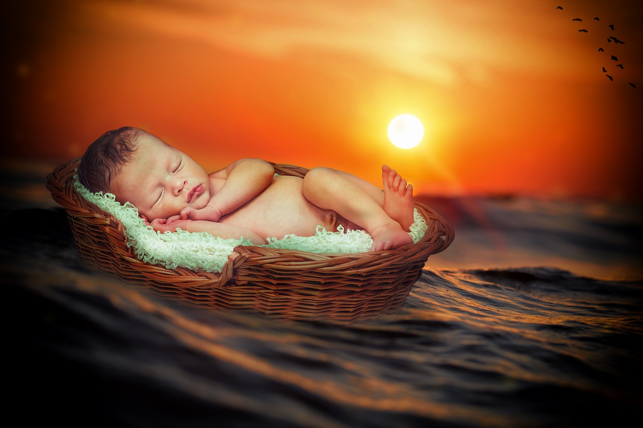 Der Fluß des Lebens