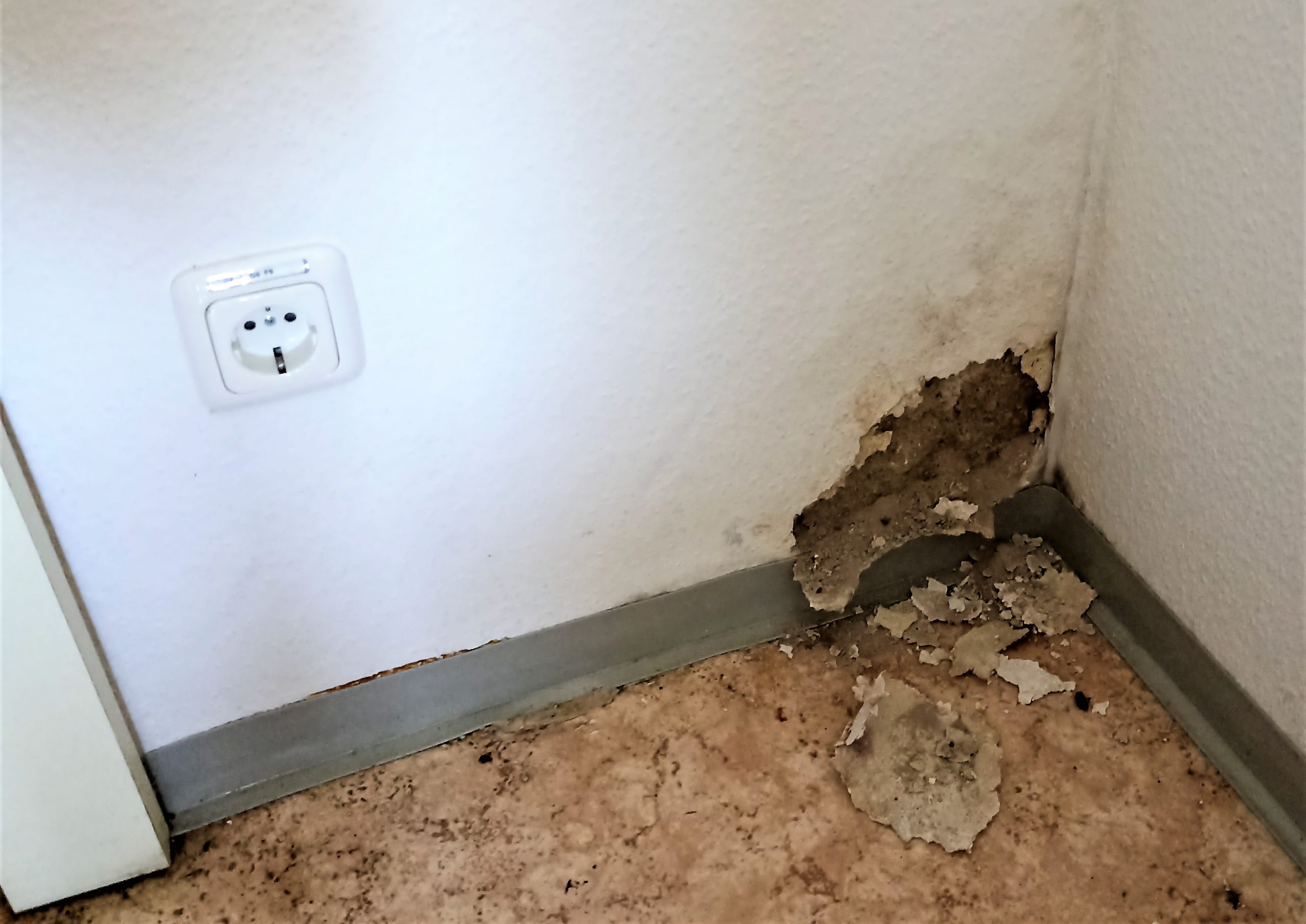 Pressemitteilung der UBV zu den Unhaltbaren Zuständen der Förderschule Schleiz