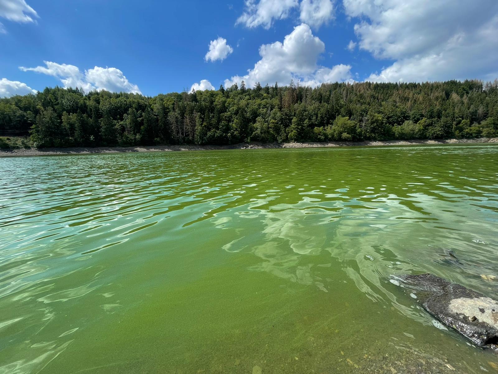 Gesundheitsamt rät von Baden im Bleilochstausee ab