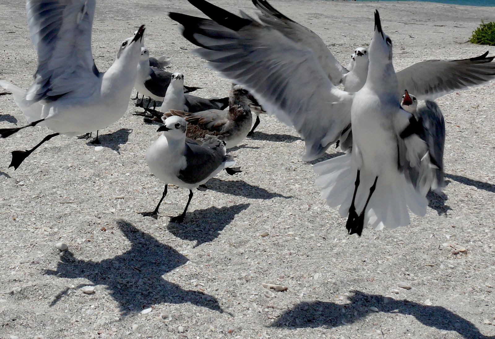 „Meerweh“-Ausstellung: Sehnsucht nach der Küste, festgehalten in Fotografien zum Träumen